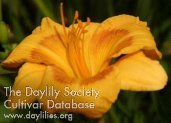 Calcortia