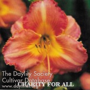 Charity for All AHS image