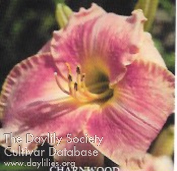 Charnwood AHS image