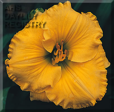 Circle of Life AHS image