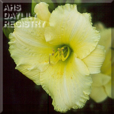 Cornflake Simple AHS image
