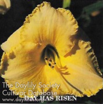 Day Has Risen AHS image