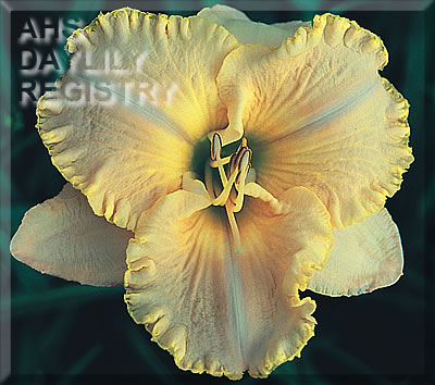 Deanna's Gift AHS image