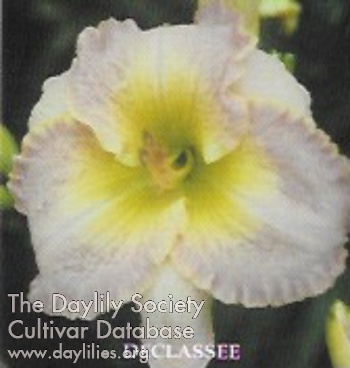 Declassee AHS image