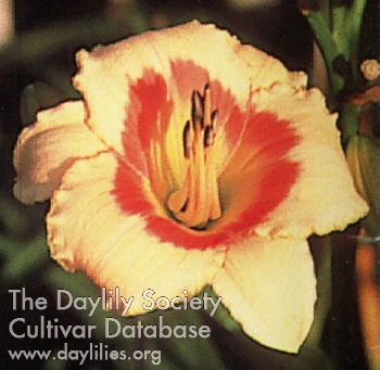 Dixie Hummingbird AHS image