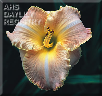 Dorothy O'Keefe AHS image
