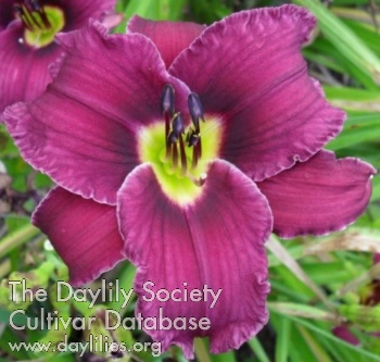 Dragco's Claw AHS image