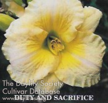 Duty and Sacrifice AHS image