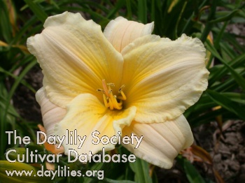 Earth Day AHS image