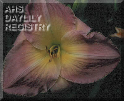 Elizabeth Leach AHS image