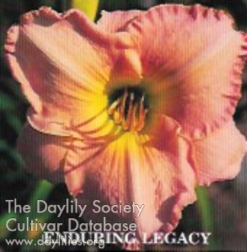 Enduring Legacy AHS image
