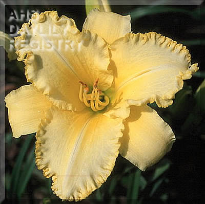 Erin Pleasure AHS image