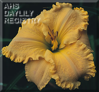 Grander Dreams AHS image