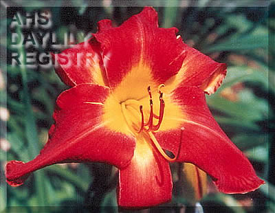Granny's Apple Pizzazz AHS image
