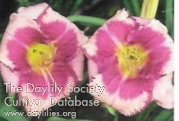 Grape Ape AHS image