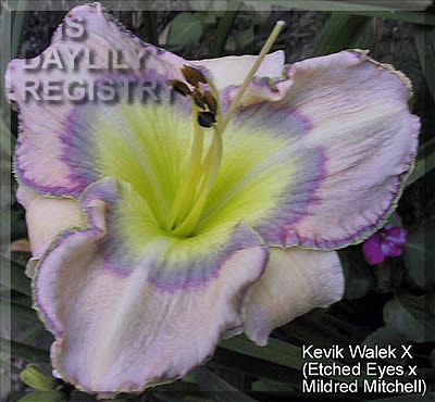Haiku Happiness AHS image