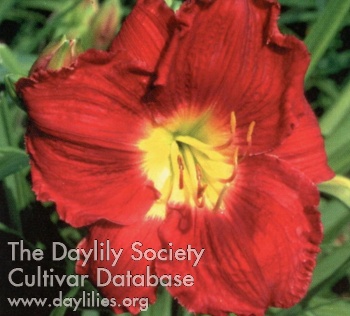 Hello Red AHS image