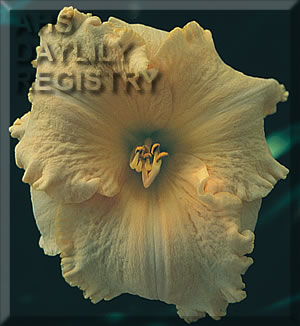 Karl Petersen AHS image