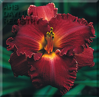 Lady of Madrid AHS image
