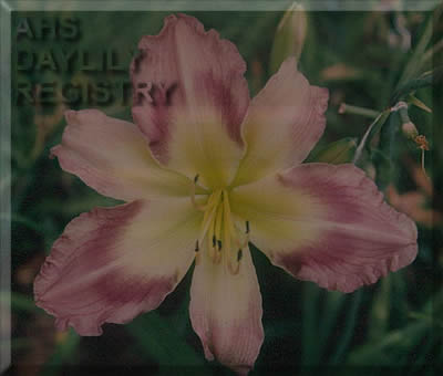 Lady of the Lake AHS image