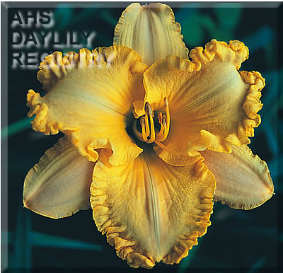 Las Vegas Gold AHS image