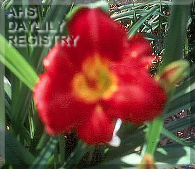 Legend of Longing AHS image