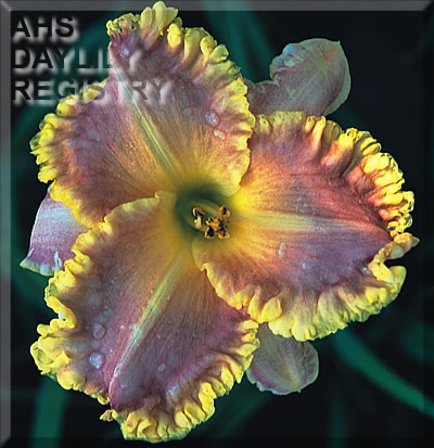 Light Years Away AHS image
