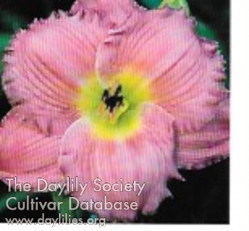 Mary Barry AHS image