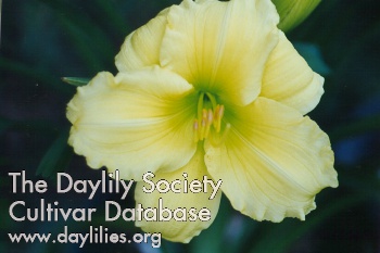 Master Gardener AHS image