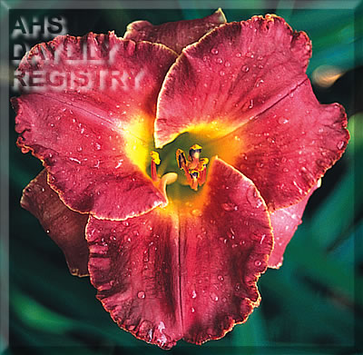 Minstrel's Daughter AHS image