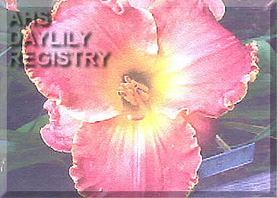 Olympic Masterpiece AHS image
