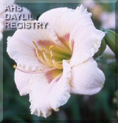 Ottawa Bride AHS image