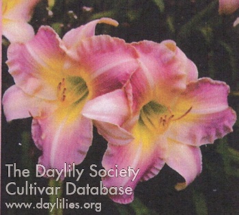 Our Cousin Rachel AHS image