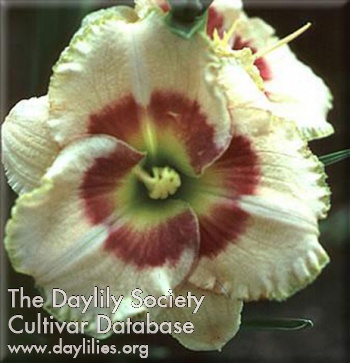 Paradise Cove AHS image