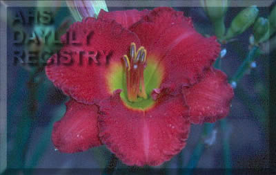 Red Beret AHS image