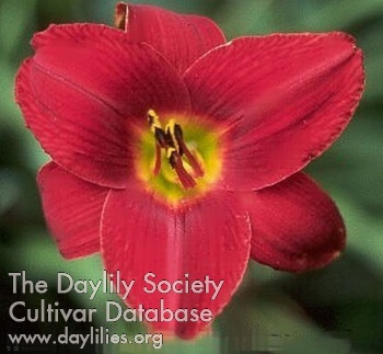 Red Butterfly AHS image