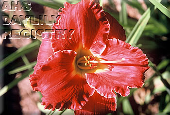 Red Hot Candy AHS image