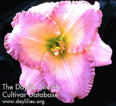 Requiem for Diana AHS image