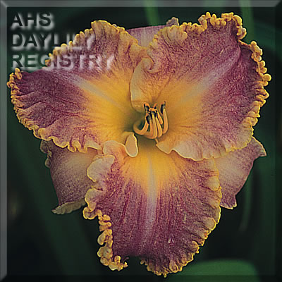 Ruffian's Apprentice AHS image