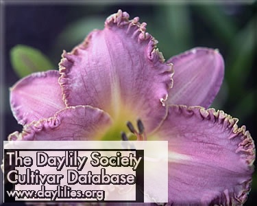 Sandy Denny AHS image