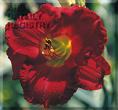 Sapphire Skies AHS image