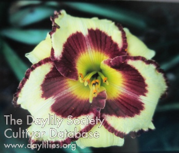 Sayville AHS image