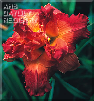 Second Millennium AHS image