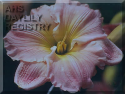 Serene Wilderness AHS image