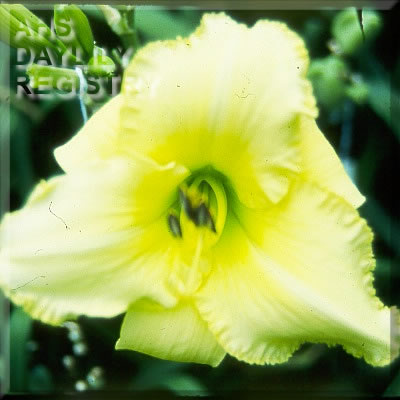 Serenity Song AHS image