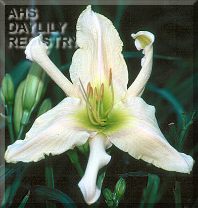 Silver Spoon AHS image