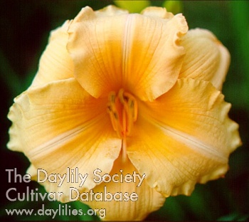 Song of Spring AHS image