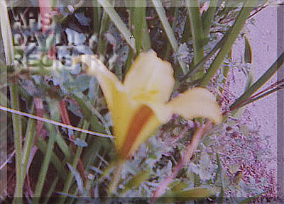 Svantovit AHS image