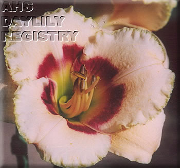 Texas Memory AHS image