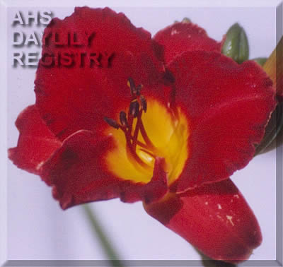 The Embarcadero AHS image
